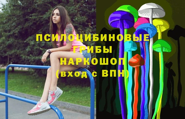кокс Баксан