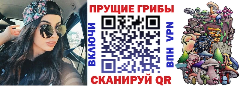 где можно купить наркотик  Пересвет  Псилоцибиновые грибы Magic Shrooms 